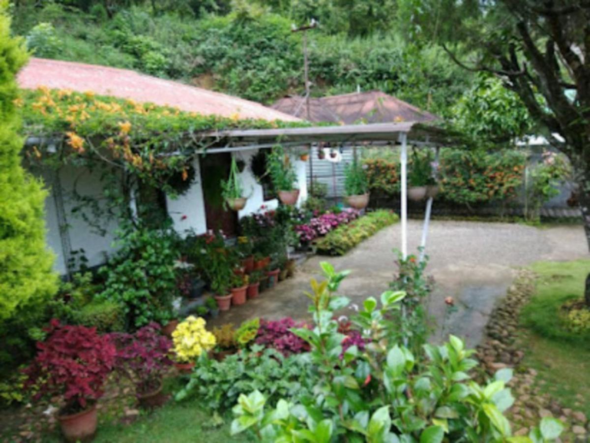 Rheinberg Town Haus Hotell Munnar Exteriör bild