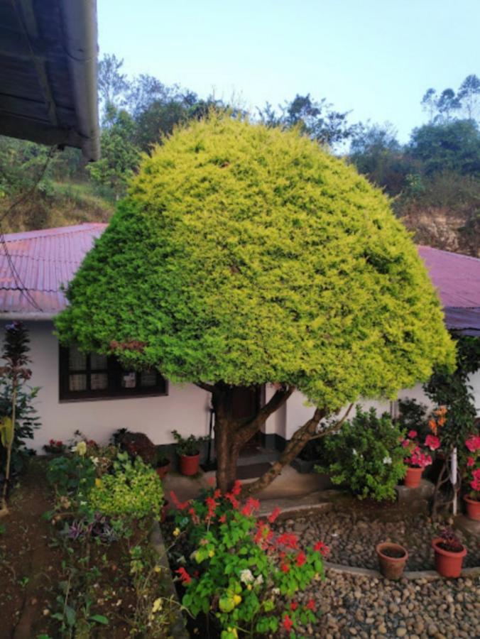 Rheinberg Town Haus Hotell Munnar Exteriör bild