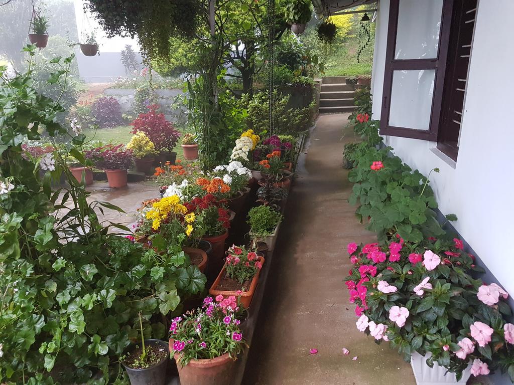 Rheinberg Town Haus Hotell Munnar Exteriör bild