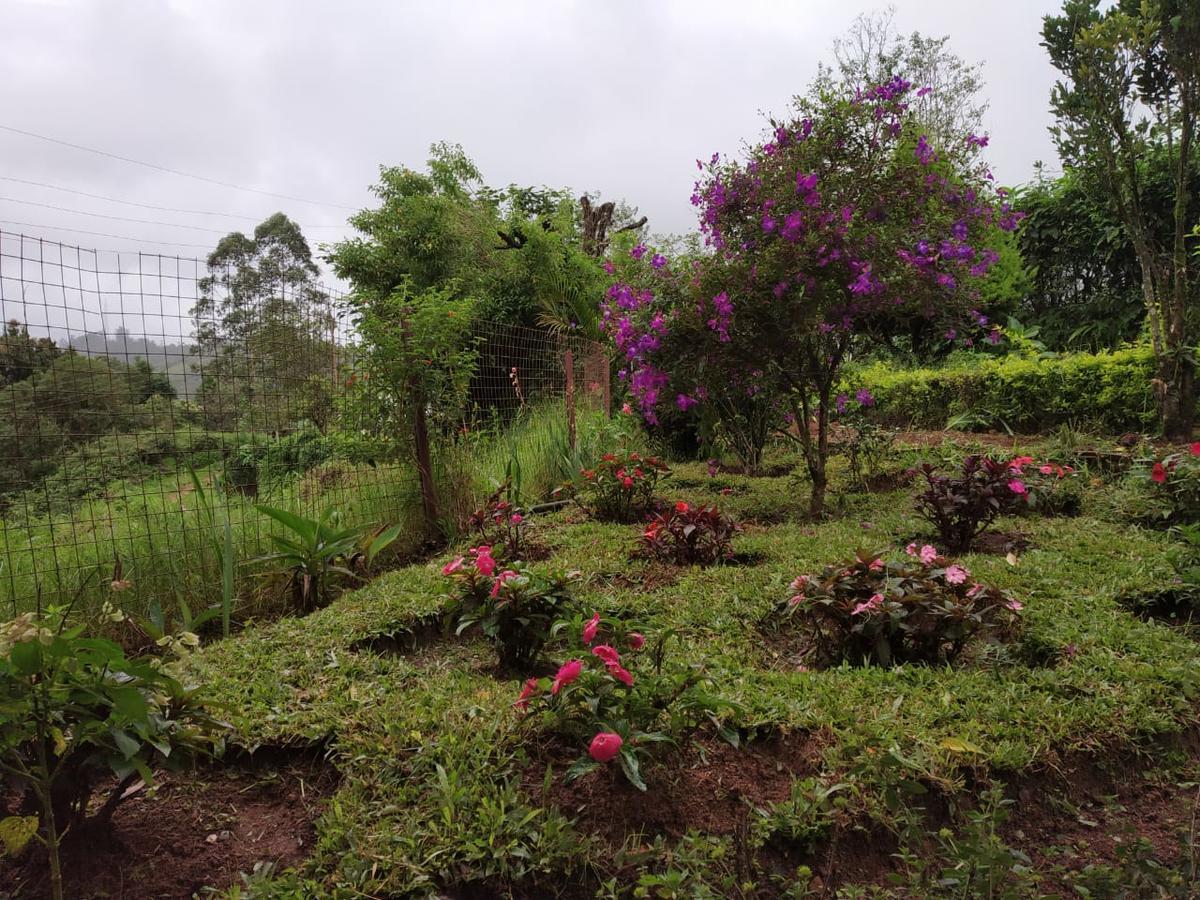 Rheinberg Town Haus Hotell Munnar Exteriör bild